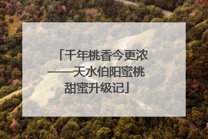 千年桃香今更浓——天水伯阳蜜桃甜蜜升级记