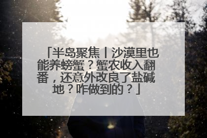 半岛聚焦丨沙漠里也能养螃蟹？蟹农收入翻番，还意外改良了盐碱地？咋做到的？