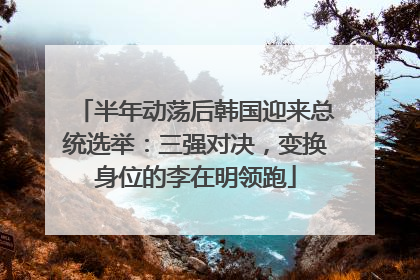 半年动荡后韩国迎来总统选举：三强对决，变换身位的李在明领跑
