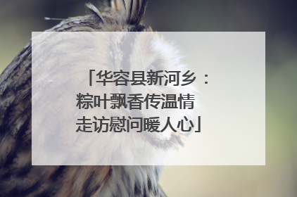 华容县新河乡：粽叶飘香传温情 走访慰问暖人心