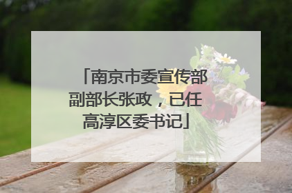 南京市委宣传部副部长张政，已任高淳区委书记