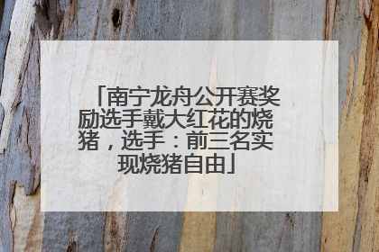 南宁龙舟公开赛奖励选手戴大红花的烧猪，选手：前三名实现烧猪自由
