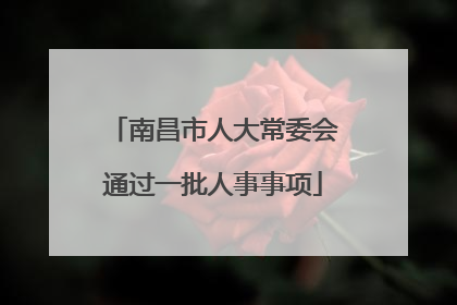 南昌市人大常委会通过一批人事事项