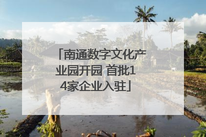 南通数字文化产业园开园 首批14家企业入驻