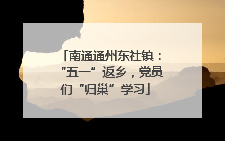 南通通州东社镇：“五一”返乡，党员们“归巢”学习