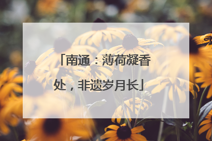 南通：薄荷凝香处，非遗岁月长