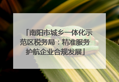 南阳市城乡一体化示范区税务局：精准服务护航企业合规发展