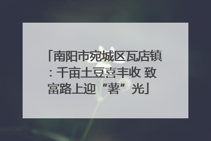 南阳市宛城区瓦店镇：千亩土豆喜丰收 致富路上迎“薯”光