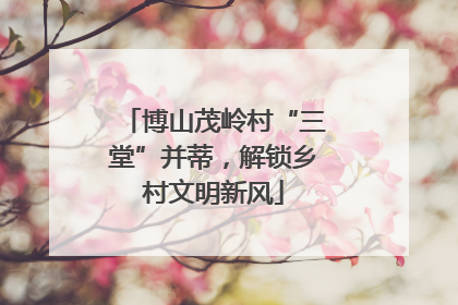 博山茂岭村“三堂”并蒂，解锁乡村文明新风