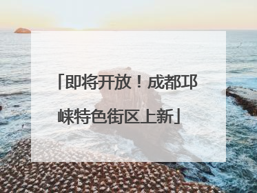 即将开放！成都邛崃特色街区上新