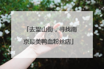 去望山街，寻找南京最美鸭血粉丝店