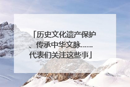 历史文化遗产保护、传承中华文脉……代表们关注这些事