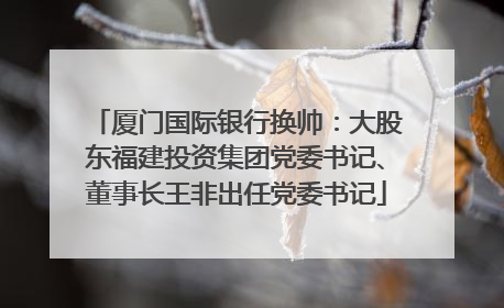 厦门国际银行换帅：大股东福建投资集团党委书记、董事长王非出任党委书记