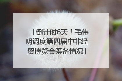 倒计时6天！毛伟明调度第四届中非经贸博览会筹备情况