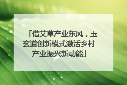 借艾草产业东风，玉玄道创新模式激活乡村产业振兴新动能