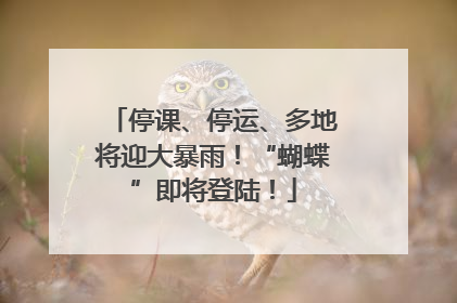 停课、停运、多地将迎大暴雨！“蝴蝶”即将登陆！
