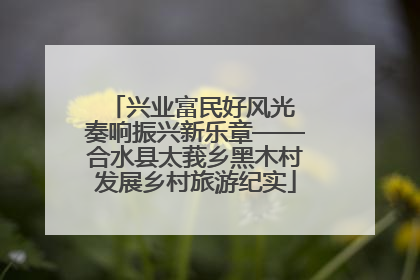 兴业富民好风光 奏响振兴新乐章——合水县太莪乡黑木村发展乡村旅游纪实