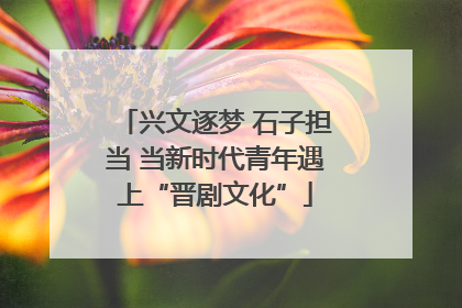 兴文逐梦 石子担当 当新时代青年遇上“晋剧文化”