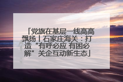 党旗在基层一线高高飘扬丨石家庄海关：打造“有呼必应 有困必解”关企互动新生态