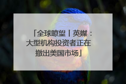 全球瞭望丨英媒：大型机构投资者正在撤出美国市场