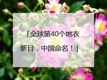 全球第40个地衣新目，中国命名！