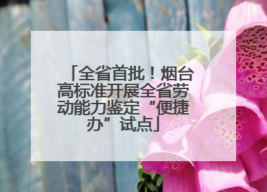 全省首批！烟台高标准开展全省劳动能力鉴定“便捷办”试点