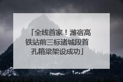全线首家！潍宿高铁站前三标诸城段首孔箱梁架设成功