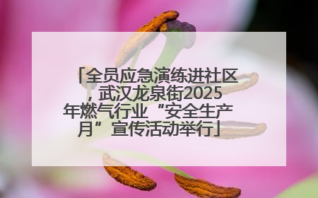全员应急演练进社区，武汉龙泉街2025年燃气行业“安全生产月”宣传活动举行
