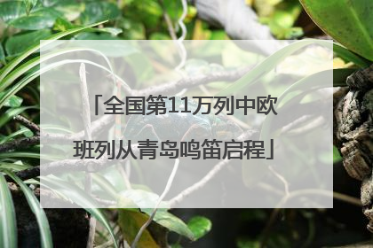 全国第11万列中欧班列从青岛鸣笛启程