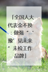 全国人大代表金不换：做强“‘豫’见未来”未检工作品牌