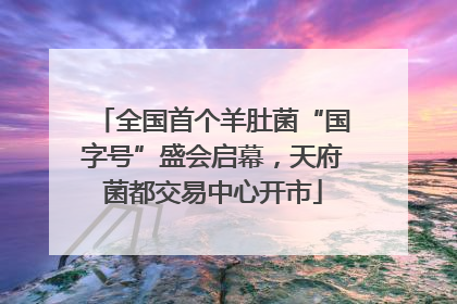 全国首个羊肚菌“国字号”盛会启幕，天府菌都交易中心开市