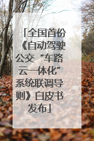 全国首份《自动驾驶公交“车路云一体化”系统联调导则》白皮书发布