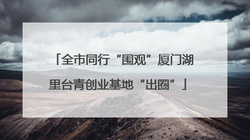 全市同行“围观”厦门湖里台青创业基地“出圈”