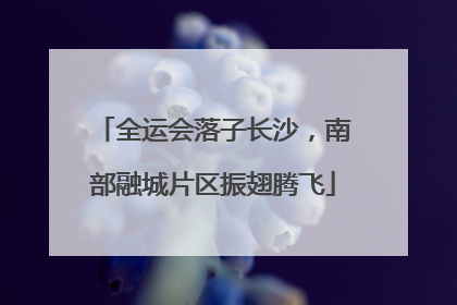 全运会落子长沙，南部融城片区振翅腾飞