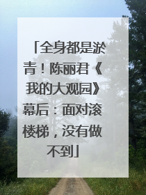 全身都是淤青！陈丽君《我的大观园》幕后：面对滚楼梯，没有做不到