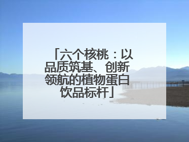 六个核桃：以品质筑基、创新领航的植物蛋白饮品标杆