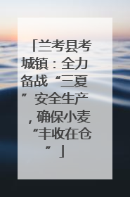 兰考县考城镇：全力备战“三夏”安全生产，确保小麦“丰收在仓”