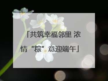 共筑幸福邻里 浓情“粽”意迎端午