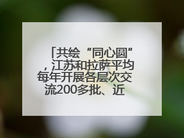 共绘“同心圆”，江苏和拉萨平均每年开展各层次交流200多批、近2000人次