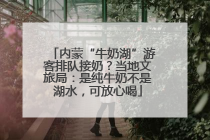 内蒙“牛奶湖”游客排队接奶？当地文旅局：是纯牛奶不是湖水，可放心喝