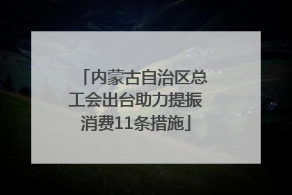 内蒙古自治区总工会出台助力提振消费11条措施