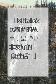 冈比亚农民穆萨的故事，是“中非友好的一段佳话”
