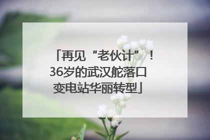 再见“老伙计”！36岁的武汉舵落口变电站华丽转型
