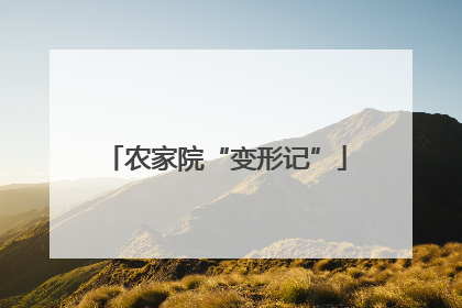 农家院“变形记”