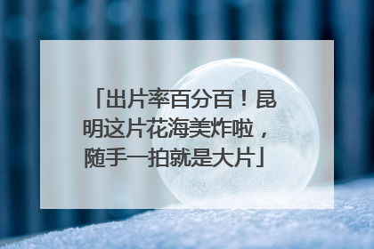 出片率百分百！昆明这片花海美炸啦，随手一拍就是大片