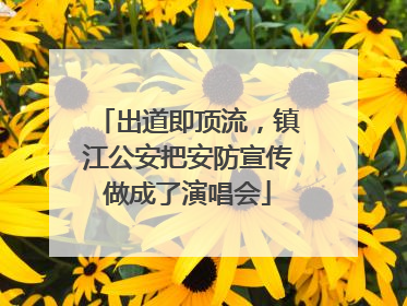 出道即顶流，镇江公安把安防宣传做成了演唱会