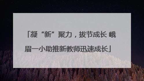 凝“新”聚力，拔节成长 峨眉一小助推新教师迅速成长