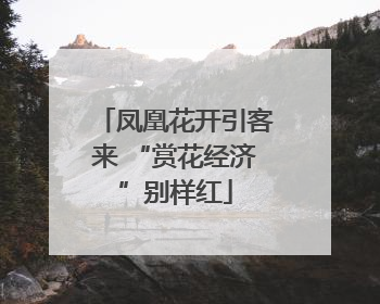凤凰花开引客来 “赏花经济”别样红