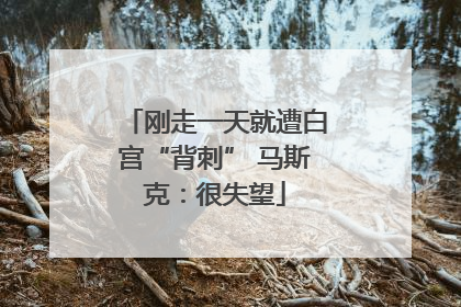 刚走一天就遭白宫“背刺” 马斯克：很失望
