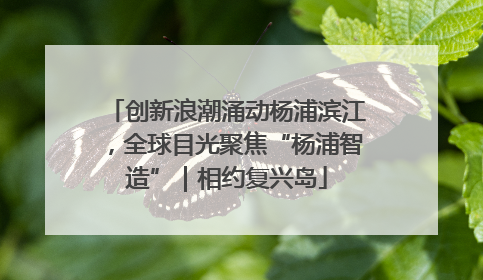创新浪潮涌动杨浦滨江，全球目光聚焦“杨浦智造”｜相约复兴岛